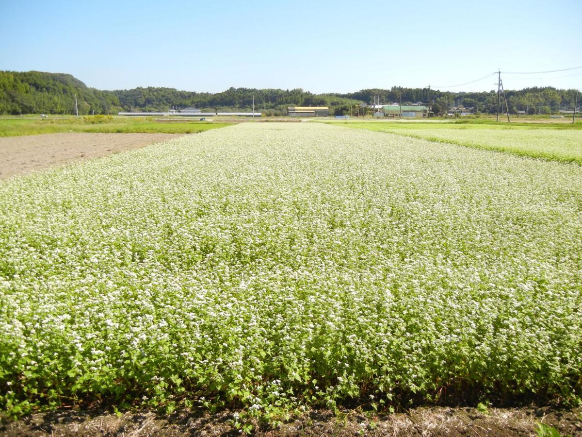 Guesthouse Suzukaze Shibushi Bagian luar foto